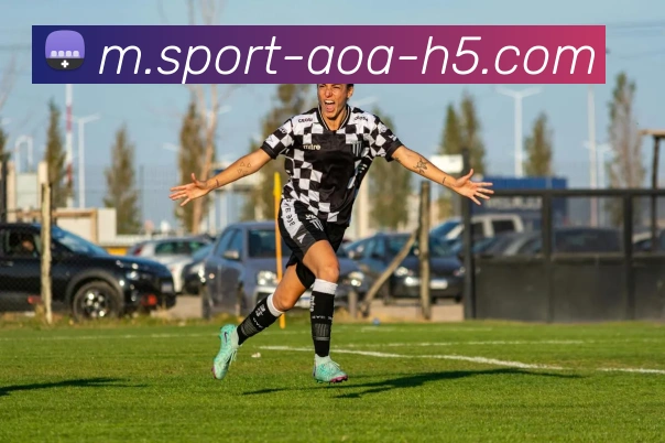 AOA体育平台生态图